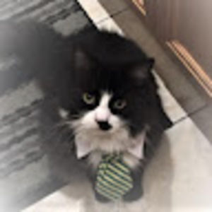 Meet your Posher, Laura